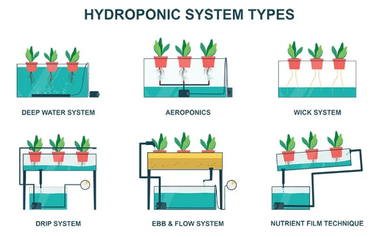 Hydroponic System Types